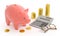 Piggy Bank Accounting (Rouble Coins)