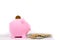 Piggy bank and banknote,coin,egg
