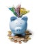 Piggy bank and banknotes on white background