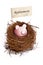 Piggy bank in bird\'s nest