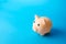 Piggy bank on a blue background. Economy. Pension fund. Deposit banking. Earn more money and save assets from inflation risks.