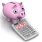 Piggy bank and calculator with SALARY word