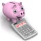 Piggy bank and calculator with SALARY word