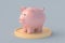 Piggy bank on coin. Financial concept