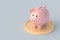 Piggy bank on coin. Financial concept