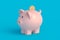 Piggy bank and coin. Financial concept. Maintaining and increasing income