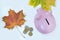 Piggy Bank coins and fallen leaves on white background. Autumn sale discounts