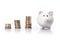 Piggy bank and coins on white background