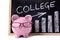 Piggy Bank with college savings or fees chart