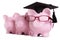 Piggy bank college student graduate graduation concept, education success, teaching