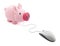 Piggy bank with computer mouse