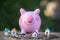 Piggy bank, concept of saving money for house, Savings money for buy house and loan to business investment for real estate concept