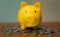 A piggy bank is a device that keeps money or savings in a safe place. And help accumulate money for various purposes such as