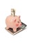 Piggy bank with dollar on calculator