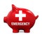 Piggy Bank Emergency Fund