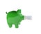 Piggy bank with energy efficient light bulb