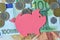 Piggy bank on euro banknotes and coins - Saving money concept