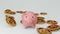 Piggy bank with falling coin as money savings concept. Piggybank and gold coin on isolated white background. Business economic and