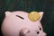 Piggy bank in the form of a pig. Bitcoin lies nearby