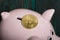 Piggy bank in the form of a pig. Bitcoin lies nearby