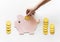 Piggy bank future money savings investment