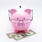 Piggy bank with glasses on U. S. dollars