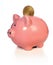 Piggy Bank With Gold Coin