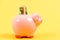 Piggy bank with golden coin stack. Moneybox. getting rich. income. saving money. business startup. financial position
