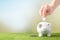 A piggy bank on a grass background and a female hand inserts coins in quarter coins. A concept of saving money. Saving. view from