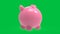 Piggy bank on green screen