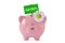 Piggy bank with green sign and daisy flower on white background - Concept of saving money, ecology and recycling