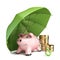 Piggy bank, green umbrella and coins 3D