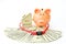 Piggy bank, home model, dollars banknotes and security padlock on white background