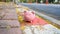 Piggy bank isolate in empty city foot-walk, saving money for spending in emergency or crisis pandemic