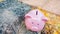 Piggy bank isolate in empty city foot-walk, saving money for spending in emergency or crisis pandemic