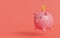Piggy bank isolated on red background.Symbol of goals in savings.investing and business.money management.Saving and money growth