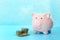 Piggy bank on a light turquoise background. Near to three stacks of coins. The symbol is the accumulation and
