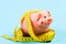 Piggy bank and measuring tape. Budget limit concept. Economics and finances. Pig trap. Budget crisis. Planning budget