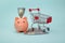 Piggy bank with money banknotes and trolley on blue background