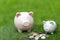 Piggy Bank Money Saving with the coins green background