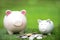 Piggy Bank Money Saving with the coins green background.