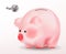 Piggy bank or moneybox. Realistic vector illustration isolated on white background. Cute pig eastern chinese symbol of 2019 year