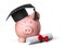 Piggy Bank with Mortarboard and Diploma