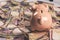 Piggy Bank on Nigerian Naira for Money, finance and Savings concept