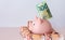 The piggy bank is on paper money worth 50 euros and a 100 euro banknote is inserted on top of it. The concept of preserving and
