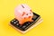 Piggy bank pink pig and calculator. Accounting and family budget. Accounting business. Piggy bank symbol of money