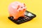 Piggy bank pink pig and calculator. Credit debt concept. Economics and profit management. Economics and finance