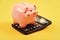 Piggy bank pink pig and calculator. Credit debt concept. Economics and profit management. Economics and finance