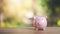 A piggy bank is placed on a wooden table,finance and banking, fund growth and savings concept, saving money for the future,