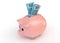 Piggy Bank With Real Banknotes
